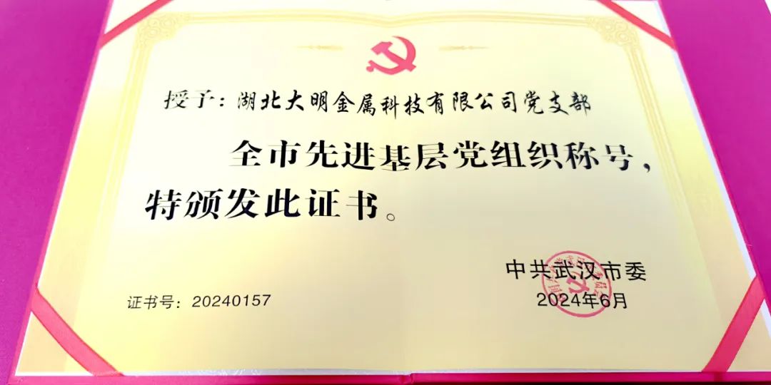 喜报！湖北304永利集团党支部荣获“武汉市先进基层党组织”称号